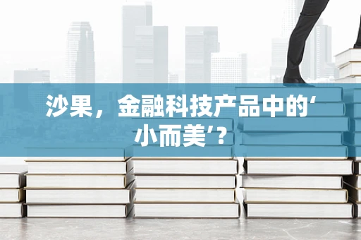 沙果，金融科技产品中的‘小而美’？