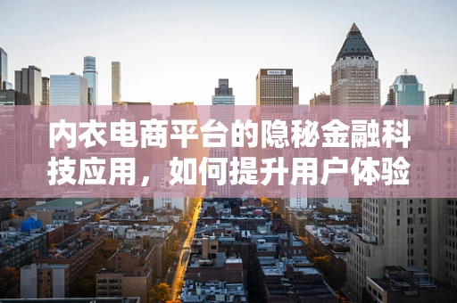 内衣电商平台的隐秘金融科技应用，如何提升用户体验与安全？