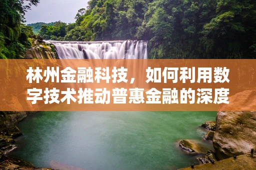林州金融科技，如何利用数字技术推动普惠金融的深度发展？
