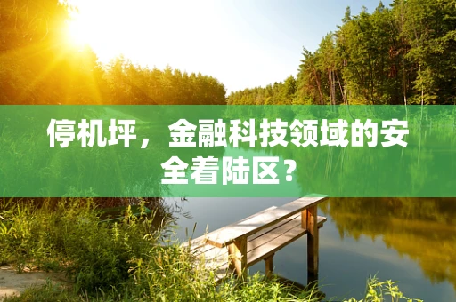 停机坪，金融科技领域的安全着陆区？