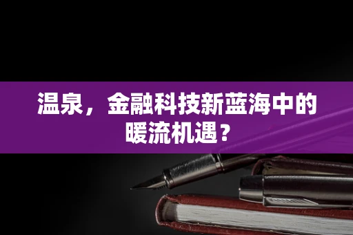 温泉，金融科技新蓝海中的暖流机遇？
