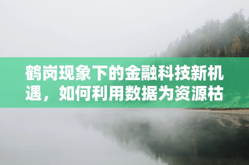 鹤岗现象下的金融科技新机遇，如何利用数据为资源枯竭型城市注入新活力？