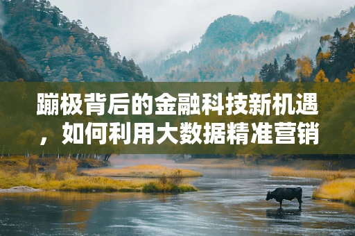 蹦极背后的金融科技新机遇，如何利用大数据精准营销？