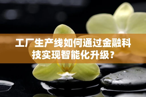 工厂生产线如何通过金融科技实现智能化升级？