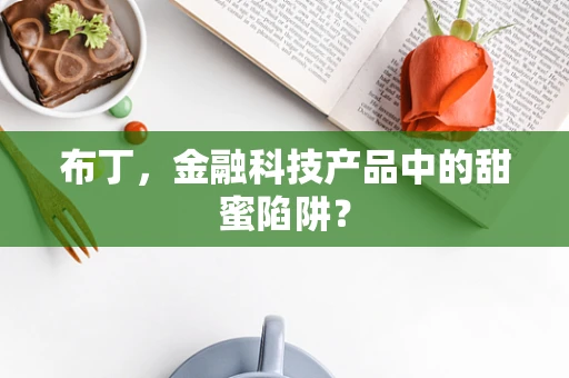 布丁，金融科技产品中的甜蜜陷阱？