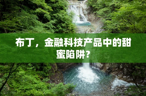 布丁，金融科技产品中的甜蜜陷阱？