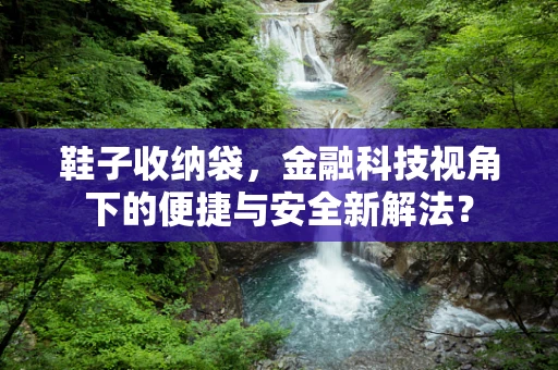 鞋子收纳袋，金融科技视角下的便捷与安全新解法？