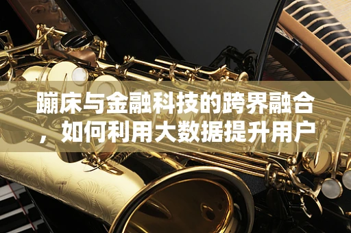 蹦床与金融科技的跨界融合，如何利用大数据提升用户体验？