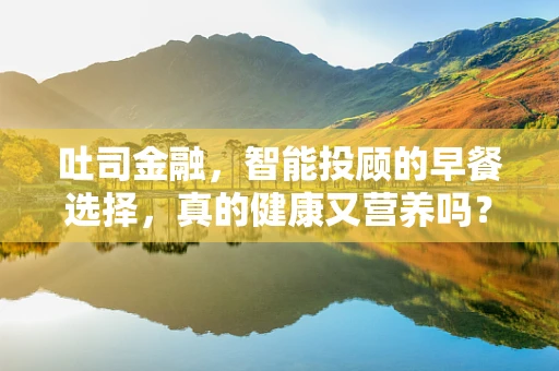 吐司金融，智能投顾的早餐选择，真的健康又营养吗？