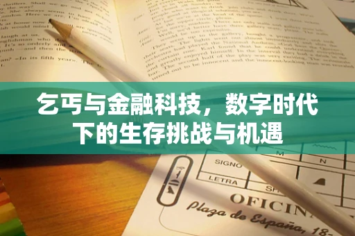 乞丐与金融科技，数字时代下的生存挑战与机遇