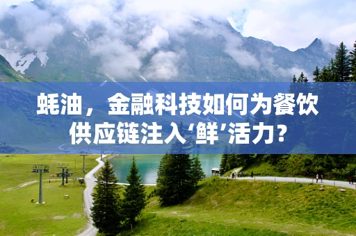 蚝油，金融科技如何为餐饮供应链注入‘鲜’活力？