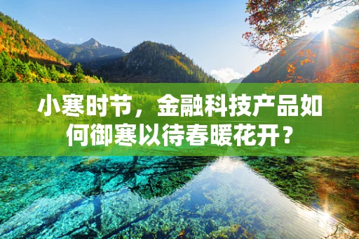 小寒时节，金融科技产品如何御寒以待春暖花开？