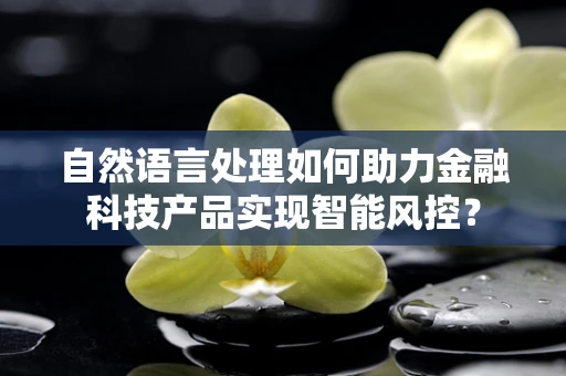 自然语言处理如何助力金融科技产品实现智能风控？