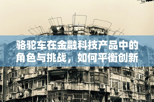 骆驼车在金融科技产品中的角色与挑战，如何平衡创新与风险？