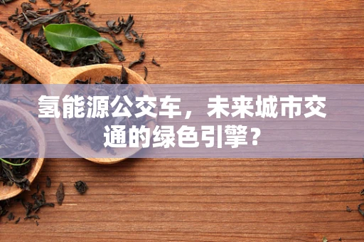 氢能源公交车，未来城市交通的绿色引擎？