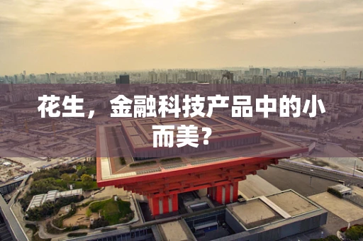 花生，金融科技产品中的小而美？
