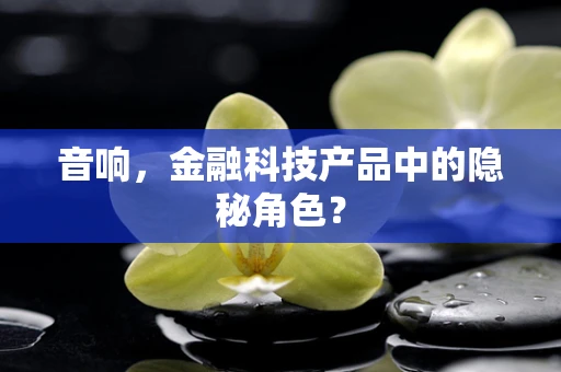音响，金融科技产品中的隐秘角色？
