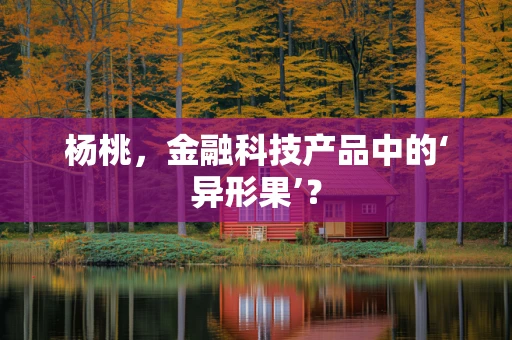 杨桃，金融科技产品中的‘异形果’？