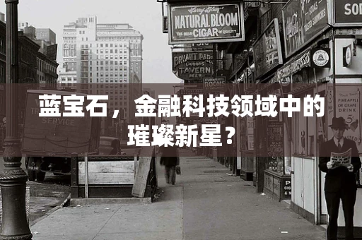 蓝宝石，金融科技领域中的璀璨新星？