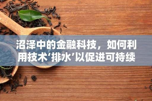 沼泽中的金融科技，如何利用技术‘排水’以促进可持续发展？