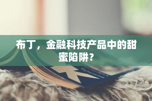 布丁，金融科技产品中的甜蜜陷阱？
