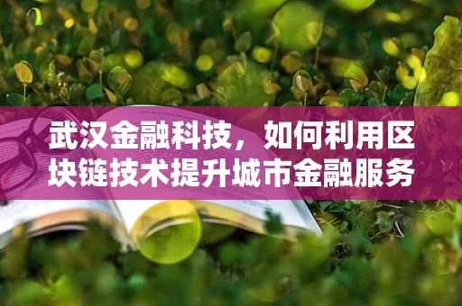 武汉金融科技，如何利用区块链技术提升城市金融服务效率？