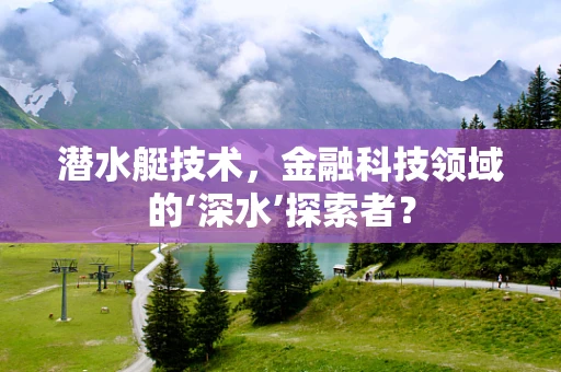 潜水艇技术，金融科技领域的‘深水’探索者？