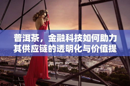 普洱茶，金融科技如何助力其供应链的透明化与价值提升？