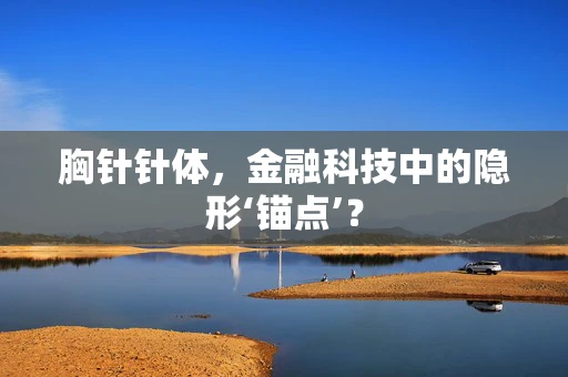 胸针针体，金融科技中的隐形‘锚点’？