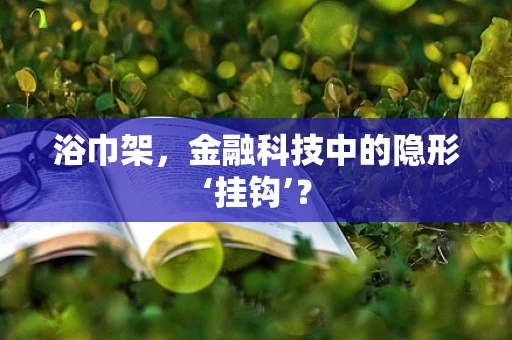 浴巾架，金融科技中的隐形‘挂钩’？