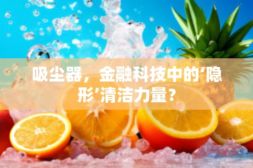 吸尘器，金融科技中的‘隐形’清洁力量？