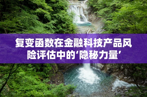 复变函数在金融科技产品风险评估中的‘隐秘力量’
