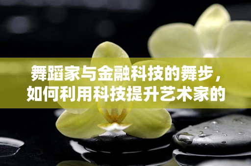 舞蹈家与金融科技的舞步，如何利用科技提升艺术家的财务管理？