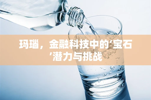 玛瑙，金融科技中的‘宝石’潜力与挑战