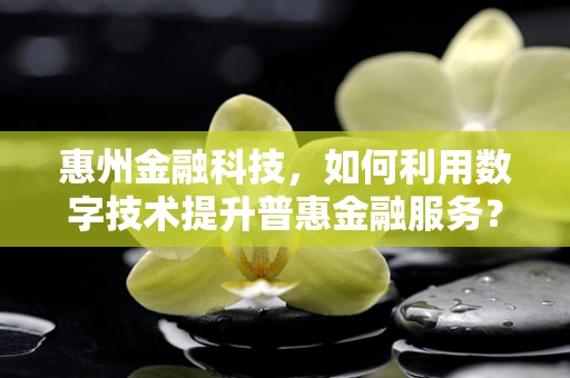 惠州金融科技，如何利用数字技术提升普惠金融服务？
