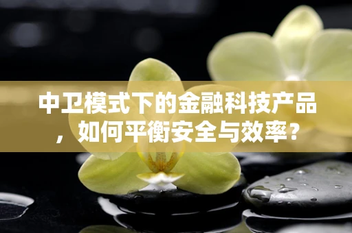 中卫模式下的金融科技产品，如何平衡安全与效率？