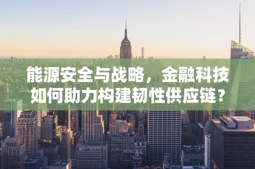 能源安全与战略，金融科技如何助力构建韧性供应链？