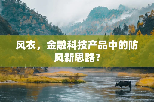 风衣，金融科技产品中的防风新思路？