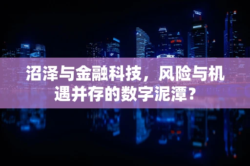沼泽与金融科技，风险与机遇并存的数字泥潭？