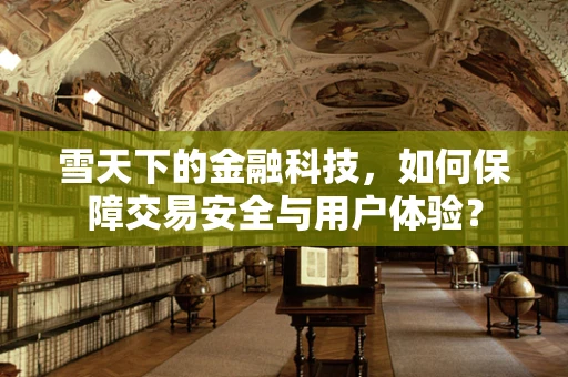 雪天下的金融科技，如何保障交易安全与用户体验？