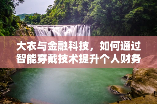 大衣与金融科技，如何通过智能穿戴技术提升个人财务管理？