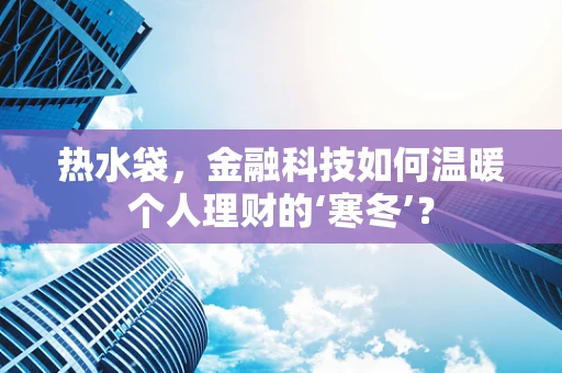 热水袋，金融科技如何温暖个人理财的‘寒冬’？
