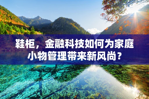 鞋柜，金融科技如何为家庭小物管理带来新风尚？