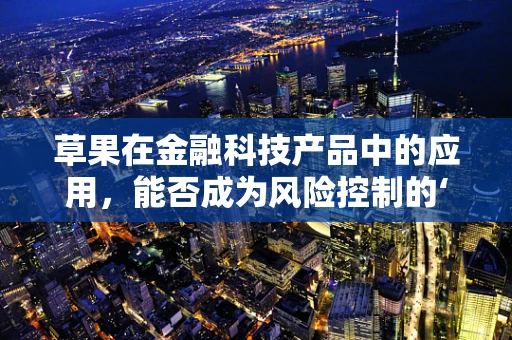 草果在金融科技产品中的应用，能否成为风险控制的‘秘密武器’？
