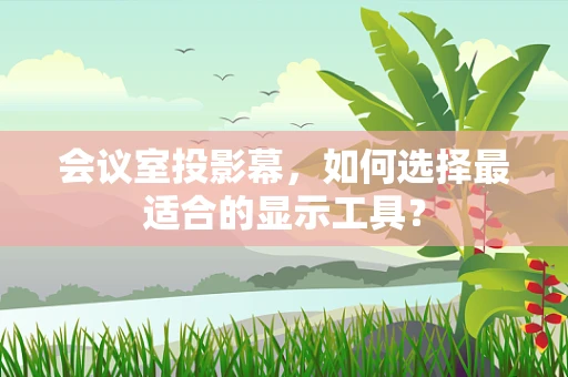 会议室投影幕，如何选择最适合的显示工具？