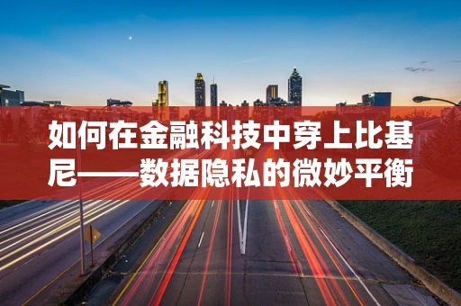 如何在金融科技中穿上比基尼——数据隐私的微妙平衡？