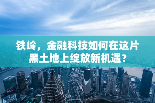 铁岭，金融科技如何在这片黑土地上绽放新机遇？
