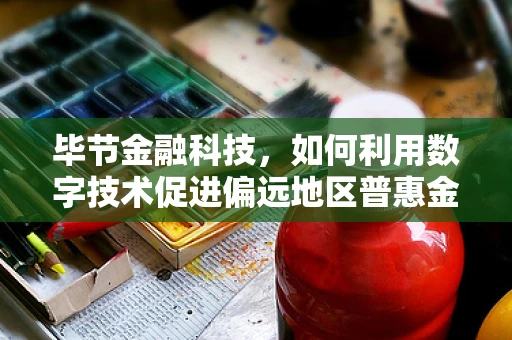 毕节金融科技，如何利用数字技术促进偏远地区普惠金融发展？