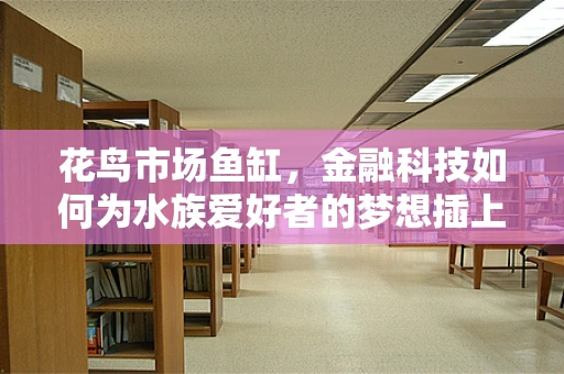 花鸟市场鱼缸，金融科技如何为水族爱好者的梦想插上翅膀？