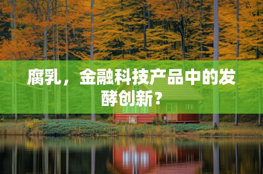 腐乳，金融科技产品中的发酵创新？
